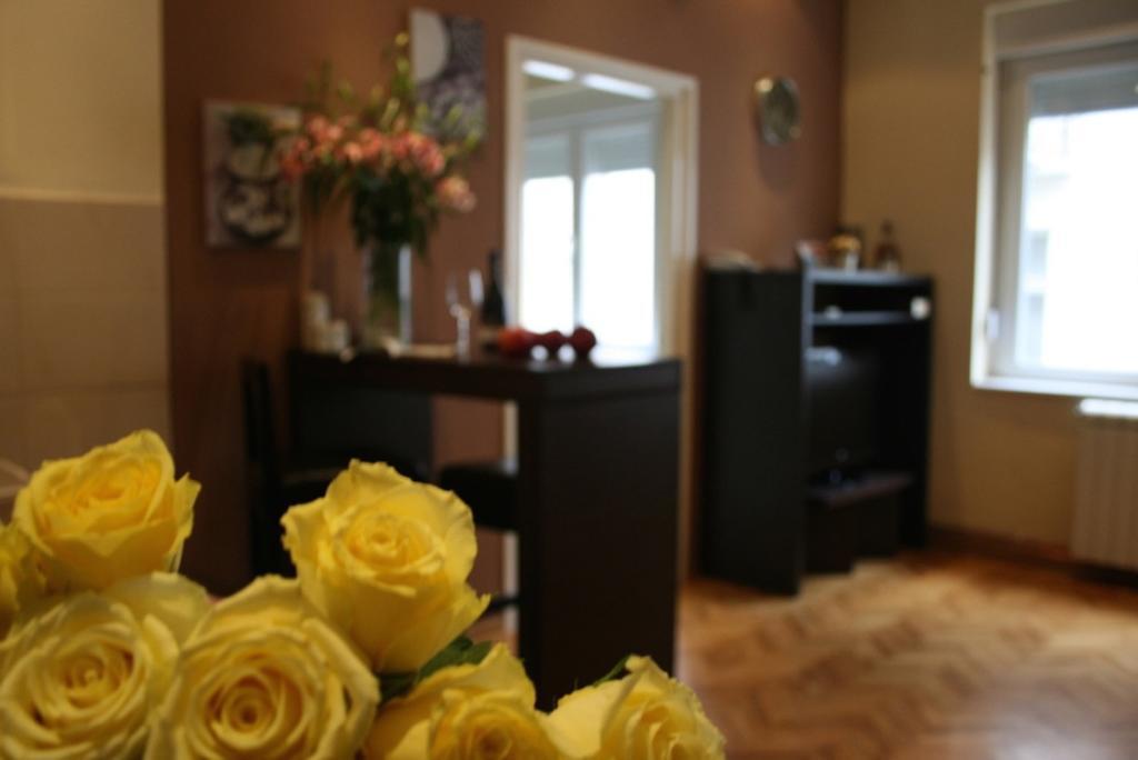 Belgrade Stay Apartments 객실 사진